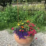 Alte Post Mit Geschichte Und Restaurant 公寓 *