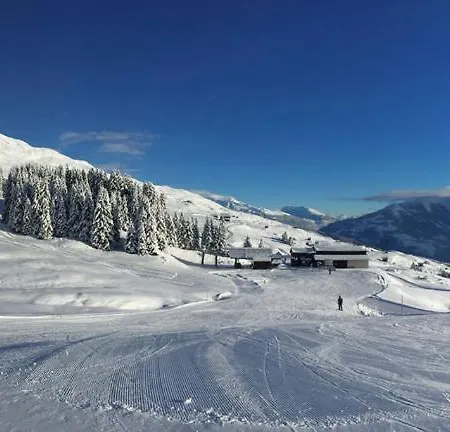 Alte Post Mit Geschichte Und Restaurant Tavanasa