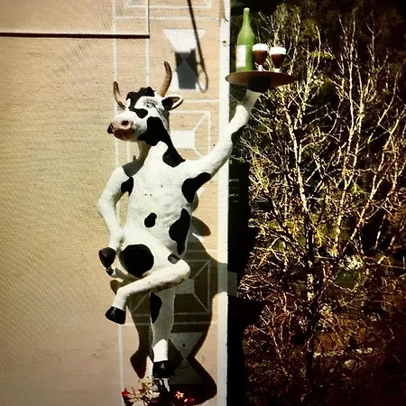 Alte Post Mit Geschichte Und Restaurant * Tavanasa