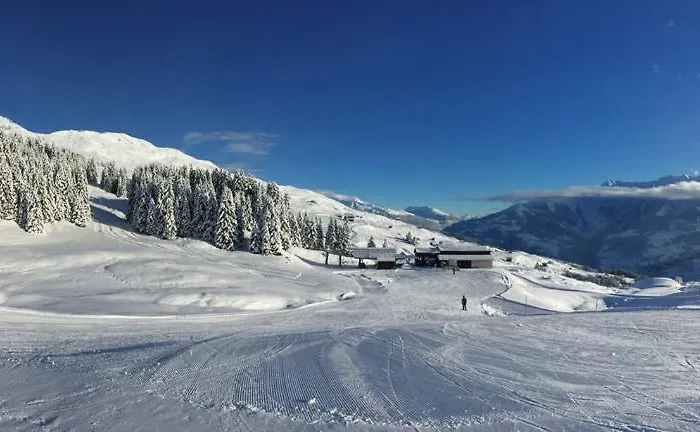 Alte Post Mit Geschichte Und Restaurant Tavanasa