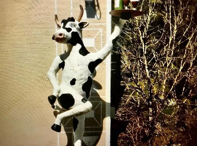 Alte Post Mit Geschichte Und Restaurant * Tavanasa