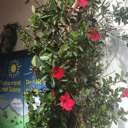 Apartament Alte Post Mit Geschichte Und Restaurant Tavanasa