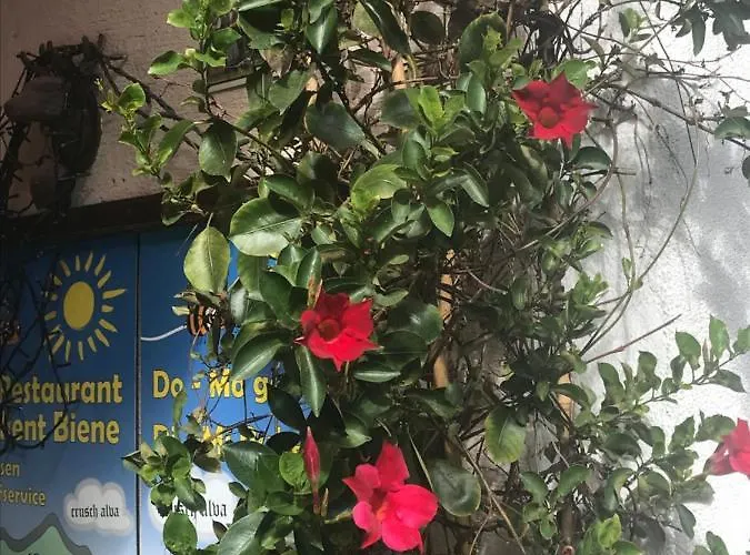 Appartement Alte Post Mit Geschichte Und Restaurant Tavanasa