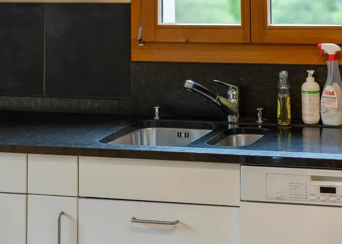 Appartement Alte Post Mit Geschichte Und Restaurant Tavanasa