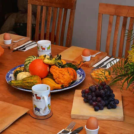 Alte Post Mit Geschichte Und Restaurant Tavanasa